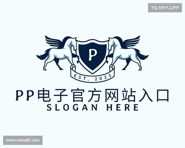 关于pp电子首页